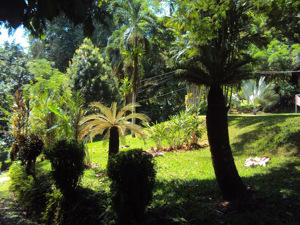 גולפיטו La Purruja Lodge מראה חיצוני תמונה