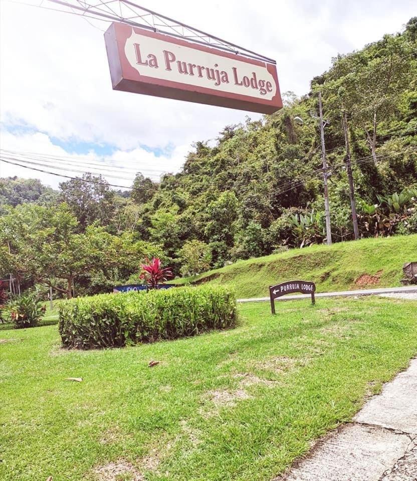 גולפיטו La Purruja Lodge מראה חיצוני תמונה