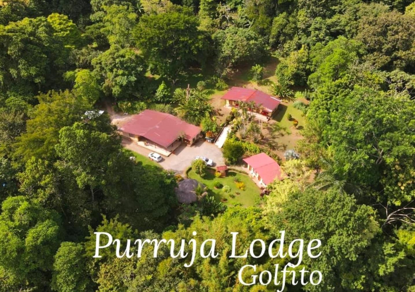 גולפיטו La Purruja Lodge מראה חיצוני תמונה