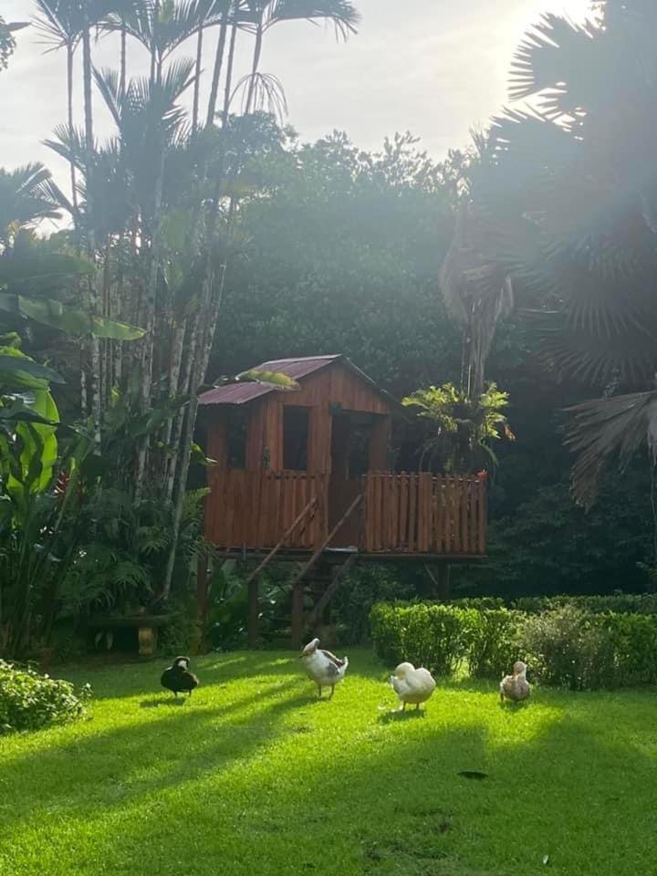 גולפיטו La Purruja Lodge מראה חיצוני תמונה