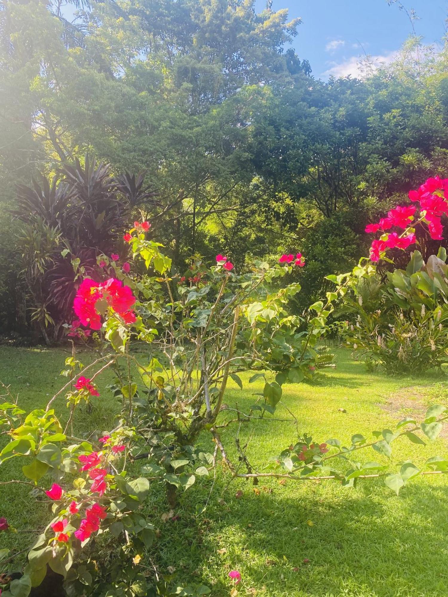 גולפיטו La Purruja Lodge מראה חיצוני תמונה